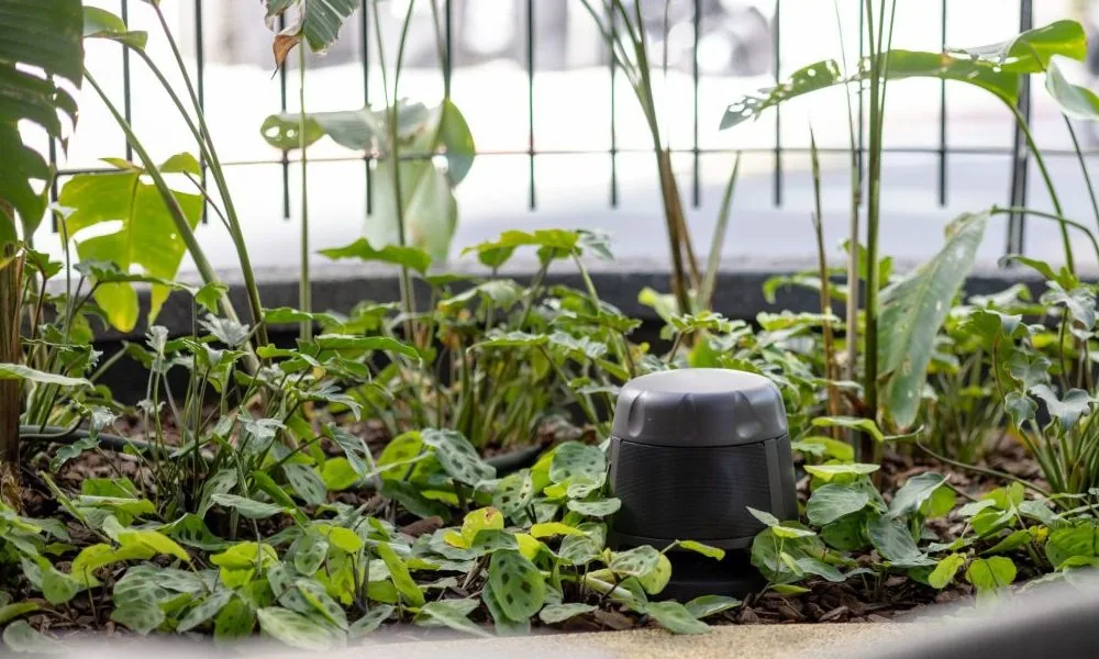 Caixa para jardim Frahm instalada entre plantas